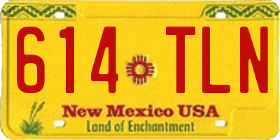 NM license plate 614TLN