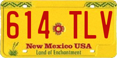 NM license plate 614TLV