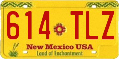 NM license plate 614TLZ