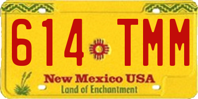 NM license plate 614TMM