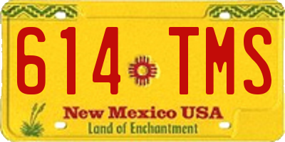 NM license plate 614TMS