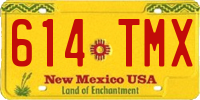 NM license plate 614TMX