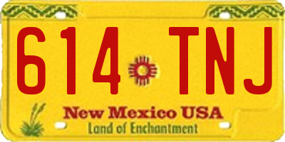 NM license plate 614TNJ