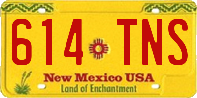 NM license plate 614TNS