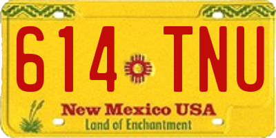 NM license plate 614TNU
