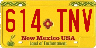 NM license plate 614TNV