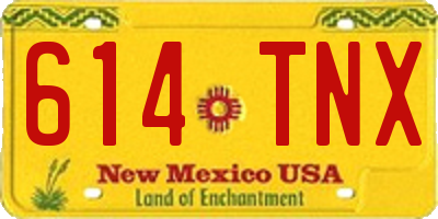 NM license plate 614TNX
