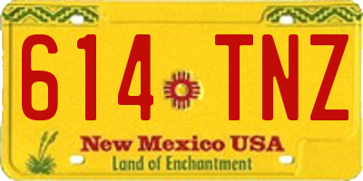 NM license plate 614TNZ