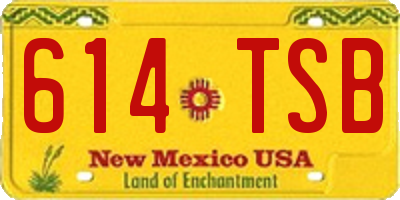 NM license plate 614TSB