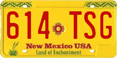 NM license plate 614TSG