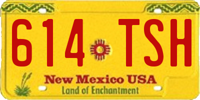 NM license plate 614TSH