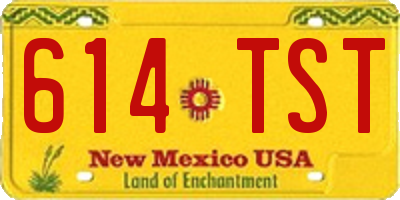 NM license plate 614TST