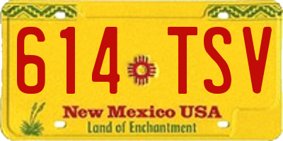 NM license plate 614TSV