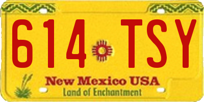 NM license plate 614TSY