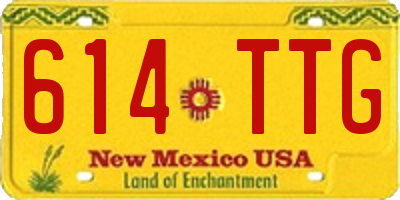 NM license plate 614TTG