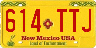 NM license plate 614TTJ