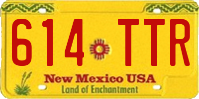 NM license plate 614TTR
