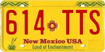 NM license plate 614TTS