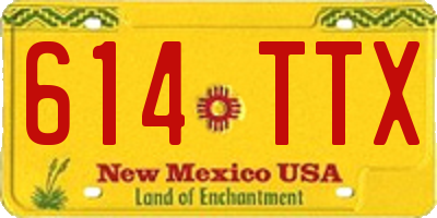 NM license plate 614TTX