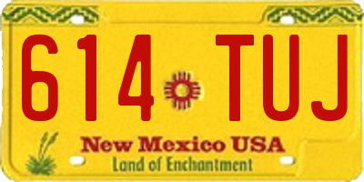 NM license plate 614TUJ