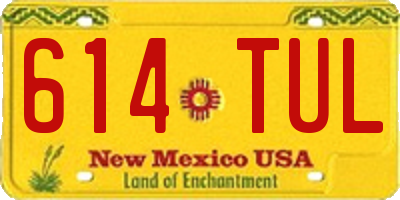 NM license plate 614TUL
