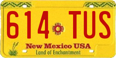 NM license plate 614TUS