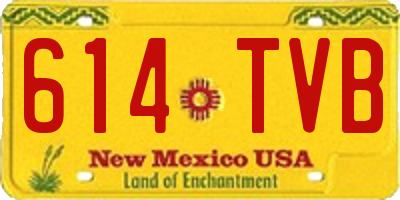 NM license plate 614TVB