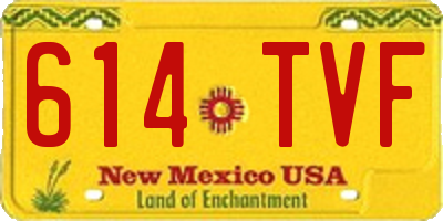 NM license plate 614TVF