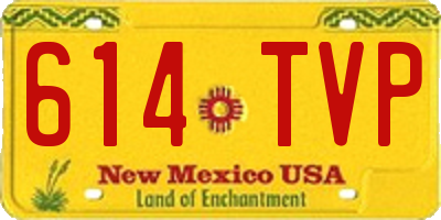 NM license plate 614TVP