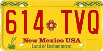 NM license plate 614TVQ