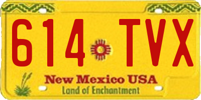 NM license plate 614TVX