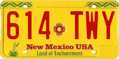 NM license plate 614TWY