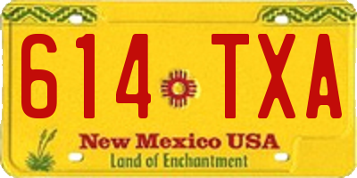 NM license plate 614TXA