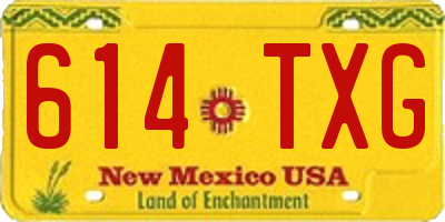 NM license plate 614TXG