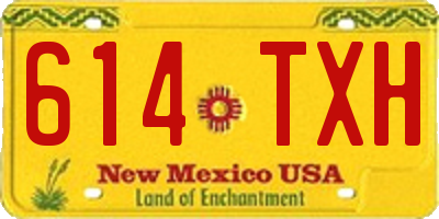 NM license plate 614TXH