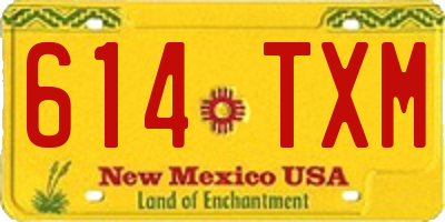 NM license plate 614TXM
