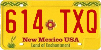 NM license plate 614TXQ