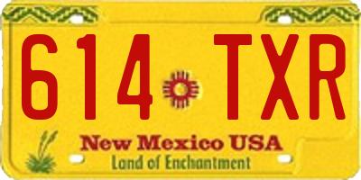 NM license plate 614TXR