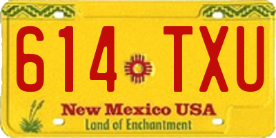 NM license plate 614TXU