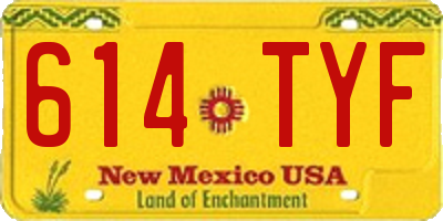 NM license plate 614TYF