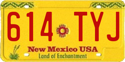 NM license plate 614TYJ