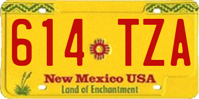NM license plate 614TZA