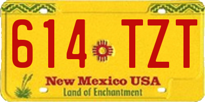 NM license plate 614TZT