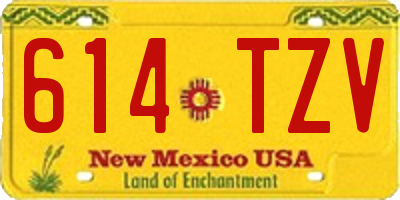 NM license plate 614TZV