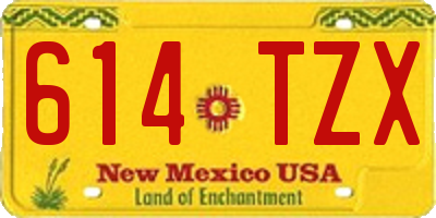 NM license plate 614TZX