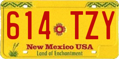 NM license plate 614TZY