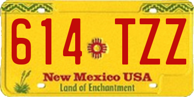 NM license plate 614TZZ