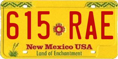 NM license plate 615RAE