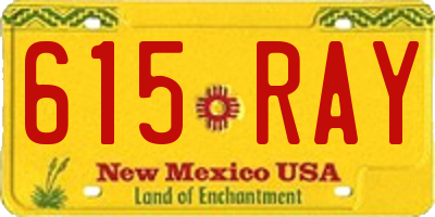 NM license plate 615RAY
