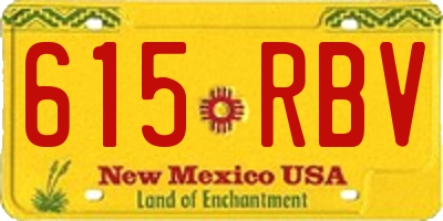 NM license plate 615RBV